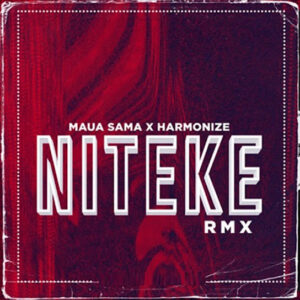 Niteke Remix