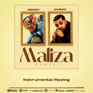 Maliza Remix